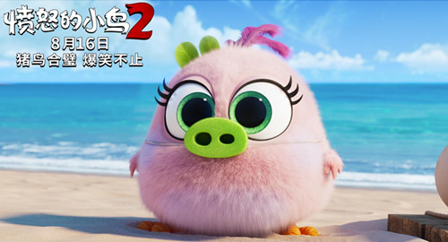 扮演“捣蛋猪”的小小鸟_副本.jpg